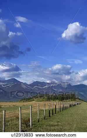 Field with mountains in background View Large Photo Image Stock Image - Field with mountains in background. Fotosearch