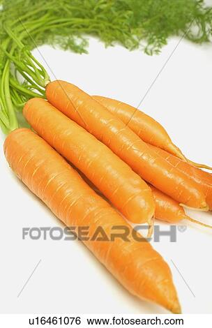Fresh carrots View Large Photo Image Stock Photograph - Fresh carrots. Fotosearch
