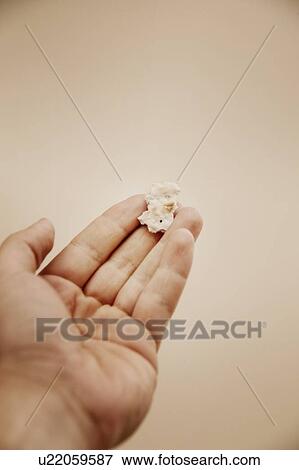 Stock Photo - Hand holding communion cracker. Fotosearch