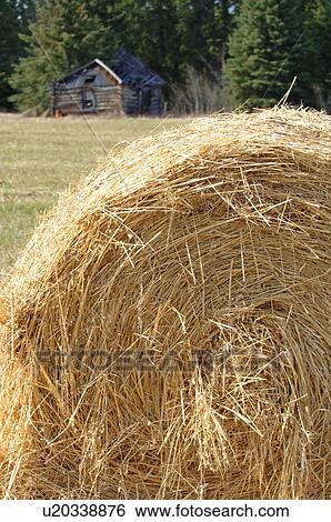 Stock Photograph - Hay bale. Fotosearch