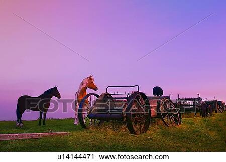 Horses beside broken carriages View Large Photo Image Stock Image - Horses beside broken carriages. Fotosearch