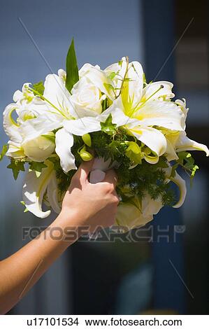 Picture - Lily flower bouquet. Fotosearch