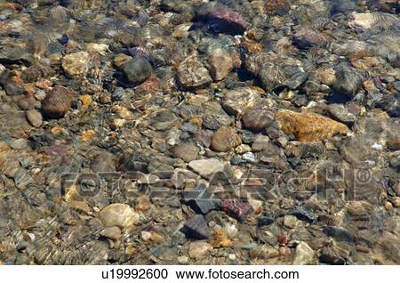 Pebbles under water View Large Photo Image Stock Image - Pebbles under water. Fotosearch