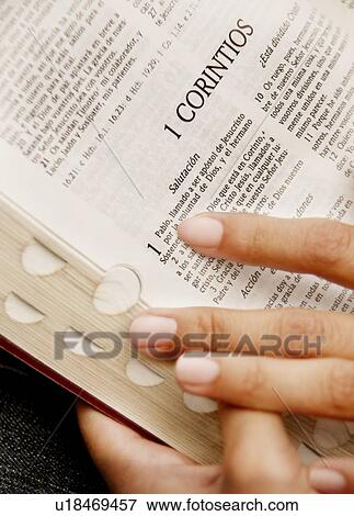 Reading a Bible View Large Photo Image Stock Photo - Reading a Bible. Fotosearch