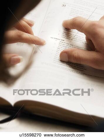 Reading the Bible View Large Photo Image Stock Image - Reading the Bible. Fotosearch