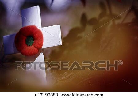 Remembrance Day View Large Photo Image Stock Image - Remembrance Day. Fotosearch