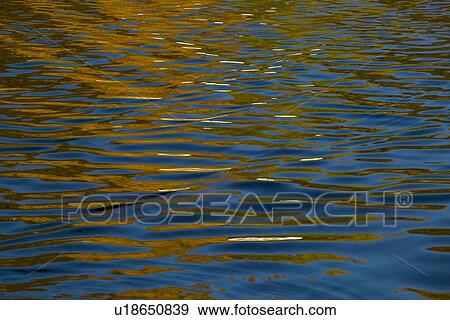 Stock Photo - Ripples in water. Fotosearch