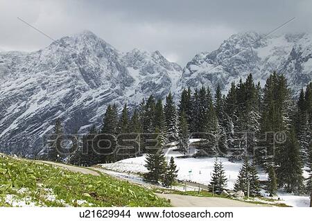 Snow covering alpine landscape View Large Photo Image Picture - Snow covering alpine landscape. Fotosearch