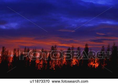 Sunrise or sunset behind trees View Large Photo Image Stock Image - Sunrise or sunset behind trees. Fotosearch