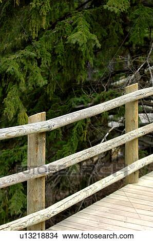 Wooden walkway View Large Photo Image Picture - Wooden walkway. Fotosearch