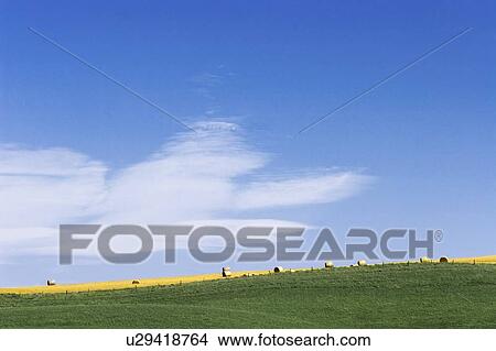 A rolling field View Large Photo Image Picture - A rolling field. Fotosearch