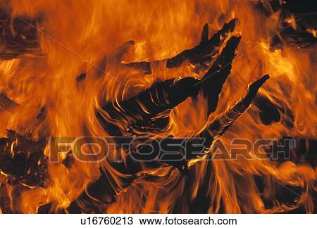 Burning wood View Large Photo Image Stock Image - Burning wood. Fotosearch