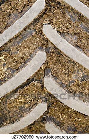 Dirt in tire tread View Large Photo Image Stock Image - Dirt in tire tread. Fotosearch