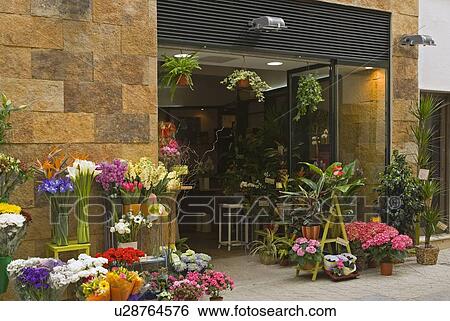 Flower shop in Seville, Spain View Large Photo Image Stock Photograph - Flower shop in Seville, Spain. Fotosearch