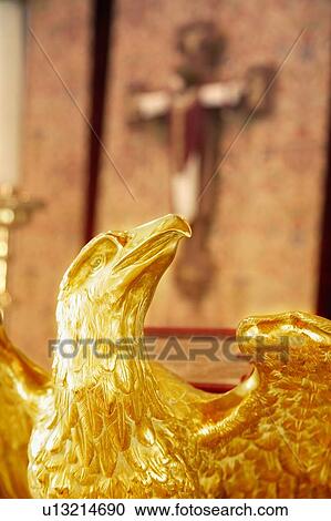 Golden Eagle (Aquila) View Large Photo Image Stock Image - Golden Eagle (Aquila). Fotosearch