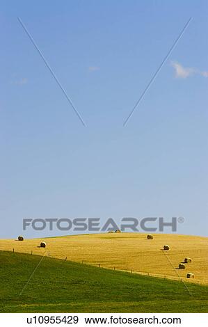 Hay bales in field View Large Photo Image Stock Photo - Hay bales in field. Fotosearch