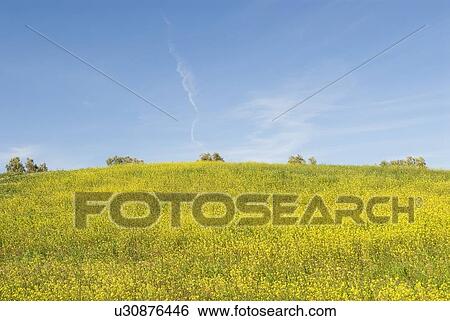 Stock Photograph - Hillside with blue sky. Fotosearch