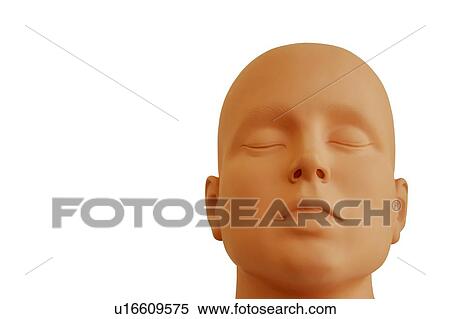 Male mannequin View Large Photo Image Stock Photography - Male mannequin. Fotosearch