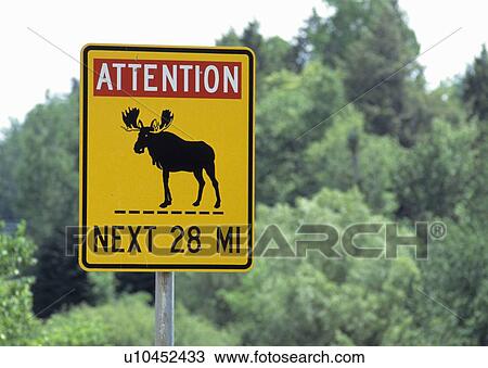 Moose crossing sign View Large Photo Image Stock Image - Moose crossing sign. Fotosearch
