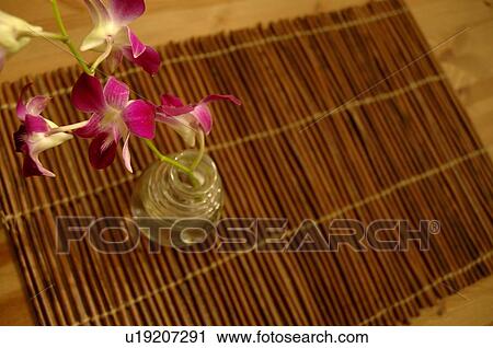Stock Image - Orchid in a glass vase. Fotosearch