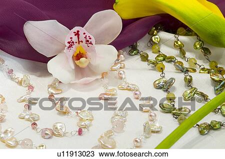 Orchid still life View Large Photo Image Stock Image - Orchid still life. Fotosearch