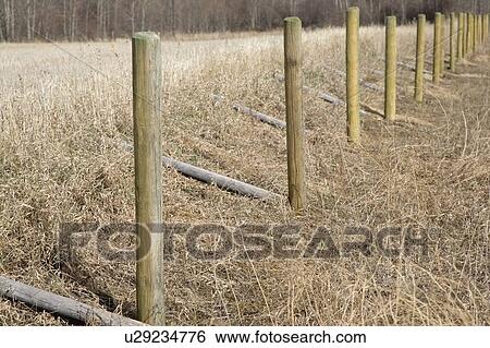 Stock Photograph - Rural fence posts. Fotosearch