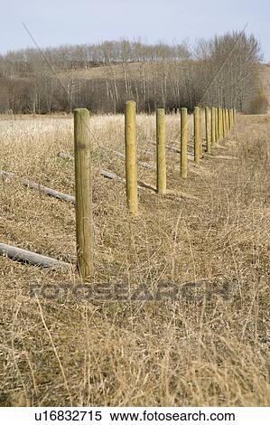 Rural Fence Posts View Large Photo Image Stock Photography - Rural Fence Posts. Fotosearch