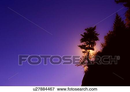 Silhouette of tree on a hill View Large Photo Image Stock Photo - Silhouette of tree on a hill. Fotosearch