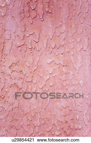 Textured pink wall View Large Photo Image Stock Image - Textured pink wall. Fotosearch
