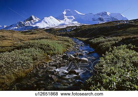 Wilcox Pass, Jasper National Park View Large Photo Image Stock Photo - Wilcox Pass, Jasper National Park. Fotosearch