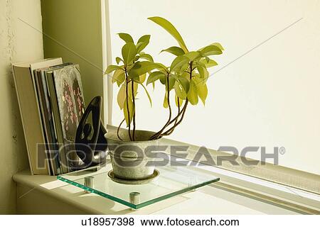 Stock Photo - Window sill. Fotosearch