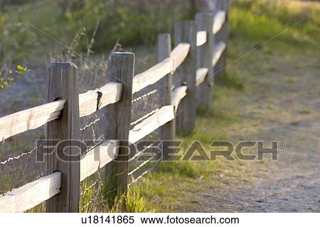 Wooden fence in sunlight View Large Photo Image Stock Photography - Wooden fence in sunlight. Fotosearch