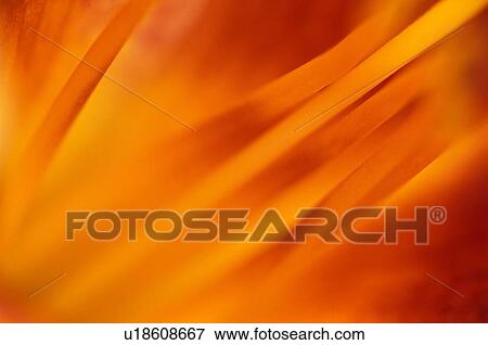 Abstract background View Large Photo Image Stock Photo - Abstract background. Fotosearch