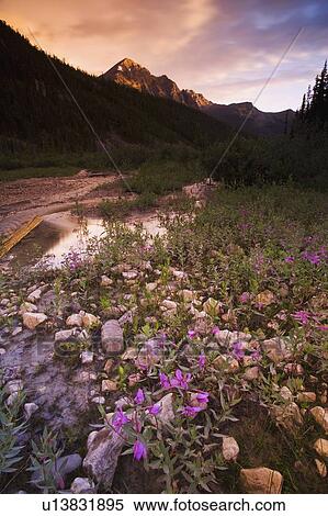 Stock Photography - Beautiful mountain scene. Fotosearch