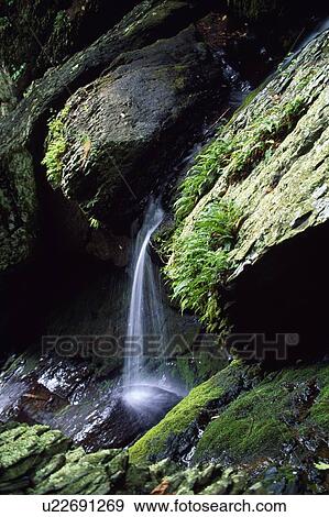 Cascade between mossy boulders of wilderness stream View Large Photo Image Stock Photo - Cascade between mossy boulders of wilderness stream. Fotosearch