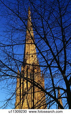 Church with Silhouette of Tree View Large Photo Image Stock Image - Church with Silhouette of Tree. Fotosearch