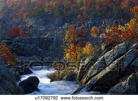 Great Falls, Maryland View Large Photo Image Stock Image - Great Falls, Maryland. Fotosearch