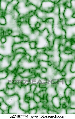 Green image View Large Photo Image Picture - Green image. Fotosearch