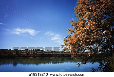 Overlooking a calm lake View Large Photo Image Stock Image - Overlooking a calm lake. Fotosearch