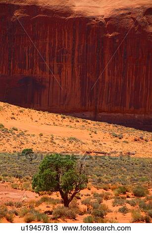 Red rock canyon View Large Photo Image Stock Image - Red rock canyon. Fotosearch