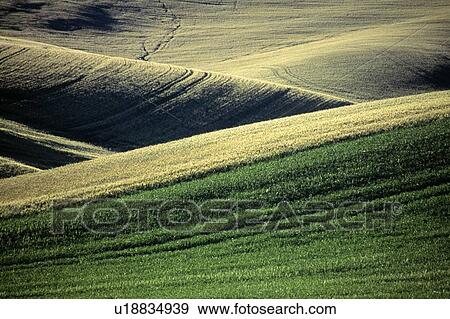 Stock Photo - Rolling hills. Fotosearch