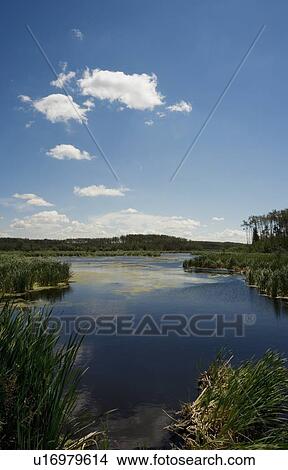 Scenic pond View Large Photo Image Picture - Scenic pond. Fotosearch