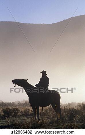 Stock Image - Silhouetted cowboy on horseback in fog. Fotosearch