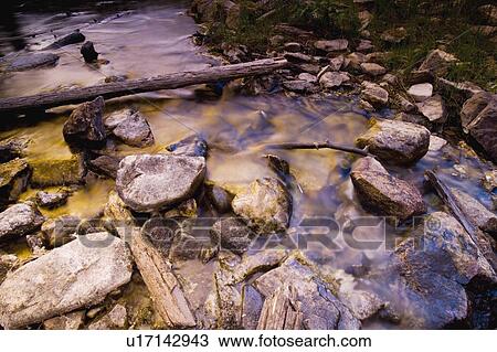 Stream with fallen tree View Large Photo Image Stock Image - Stream with fallen tree. Fotosearch