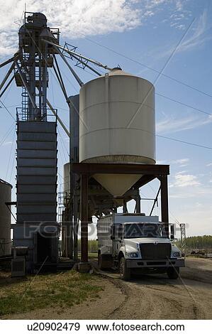 Truck at feed lot View Large Photo Image Stock Photo - Truck at feed lot. Fotosearch