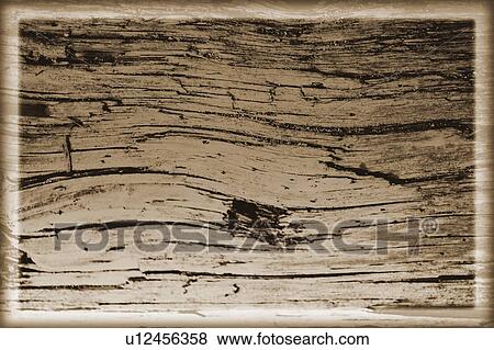 Wood grain background View Large Photo Image Stock Photo - Wood grain background. Fotosearch