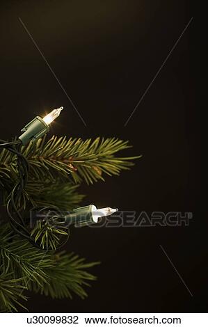 Christmas tree lights View Large Photo Image Stock Image - Christmas tree lights. Fotosearch