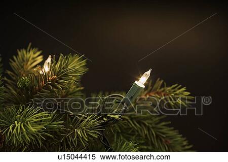 Stock Photography - Christmas tree lights. Fotosearch
