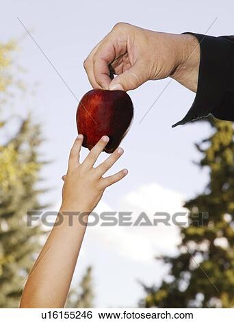 Father passing fruit to child View Large Photo Image Stock Photograph - Father passing fruit to child. Fotosearch