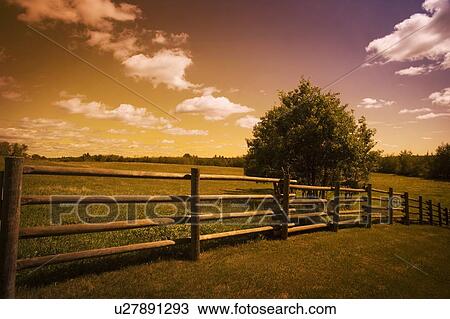 Field View Large Photo Image Stock Image - Field. Fotosearch